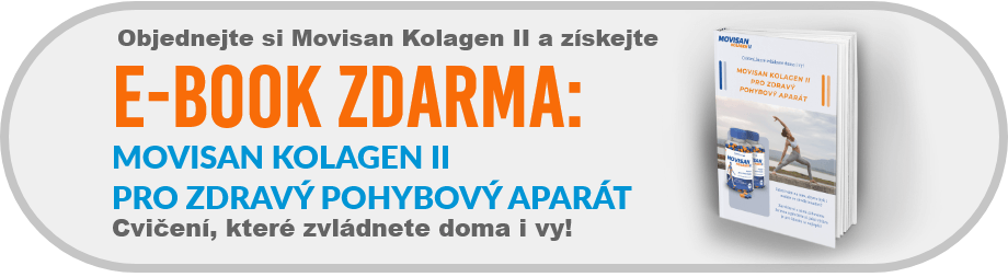 E-BOOK ZDARMA