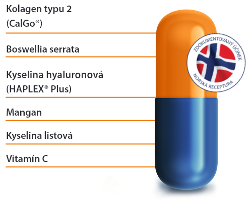 Movisan schema